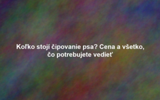 Koľko stojí čipovanie psa? Cena a všetko, čo potrebujete vedieť