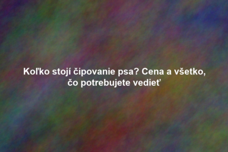 Koľko stojí čipovanie psa? Cena a všetko, čo potrebujete vedieť