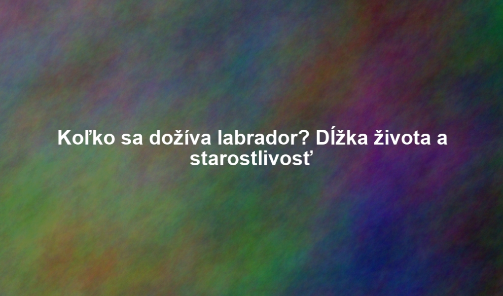 Koľko sa dožíva labrador? Dĺžka života a starostlivosť