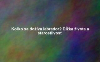 Koľko sa dožíva labrador? Dĺžka života a starostlivosť