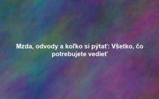 Mzda, odvody a koľko si pýtať: Všetko, čo potrebujete vedieť