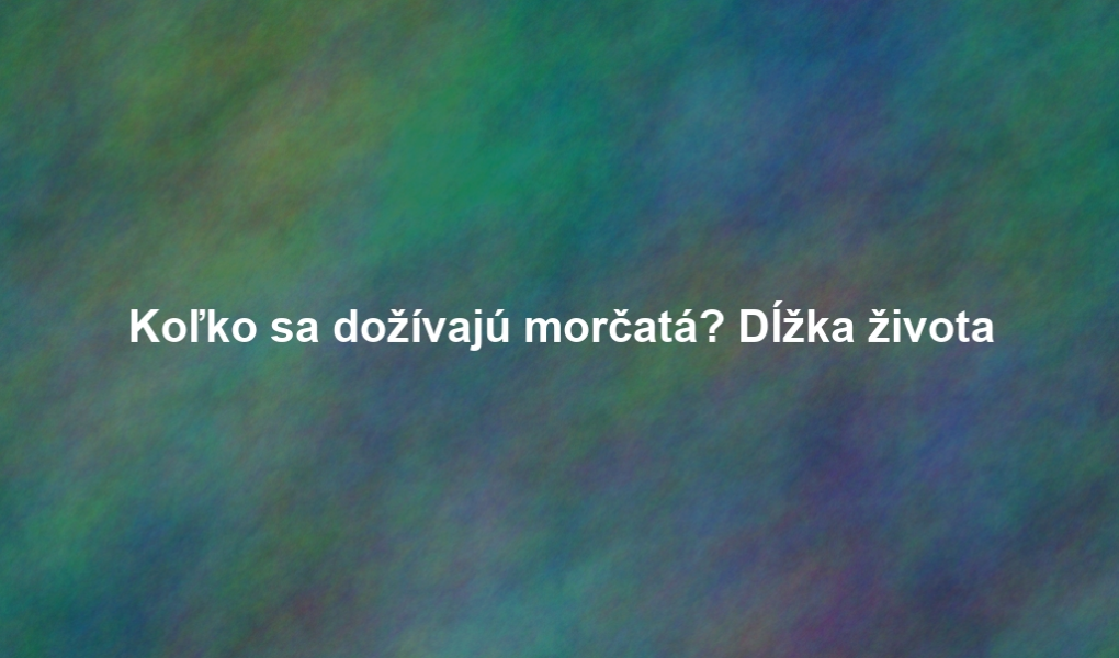 Koľko sa dožívajú morčatá? Dĺžka života