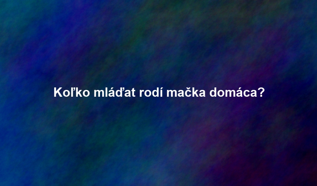 Koľko mláďat rodí mačka domáca?
