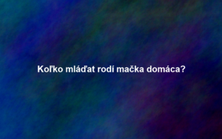 Koľko mláďat rodí mačka domáca?