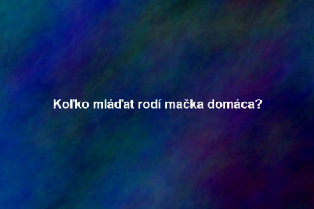 Koľko mláďat rodí mačka domáca?