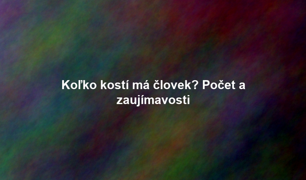 Koľko kostí má človek? Počet a zaujímavosti