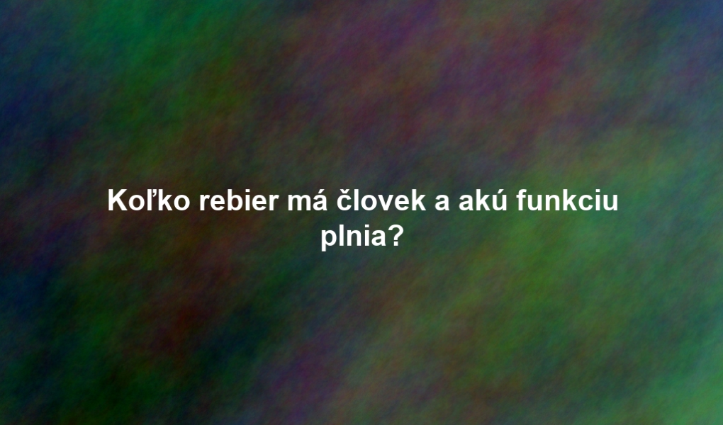 Koľko rebier má človek a akú funkciu plnia?
