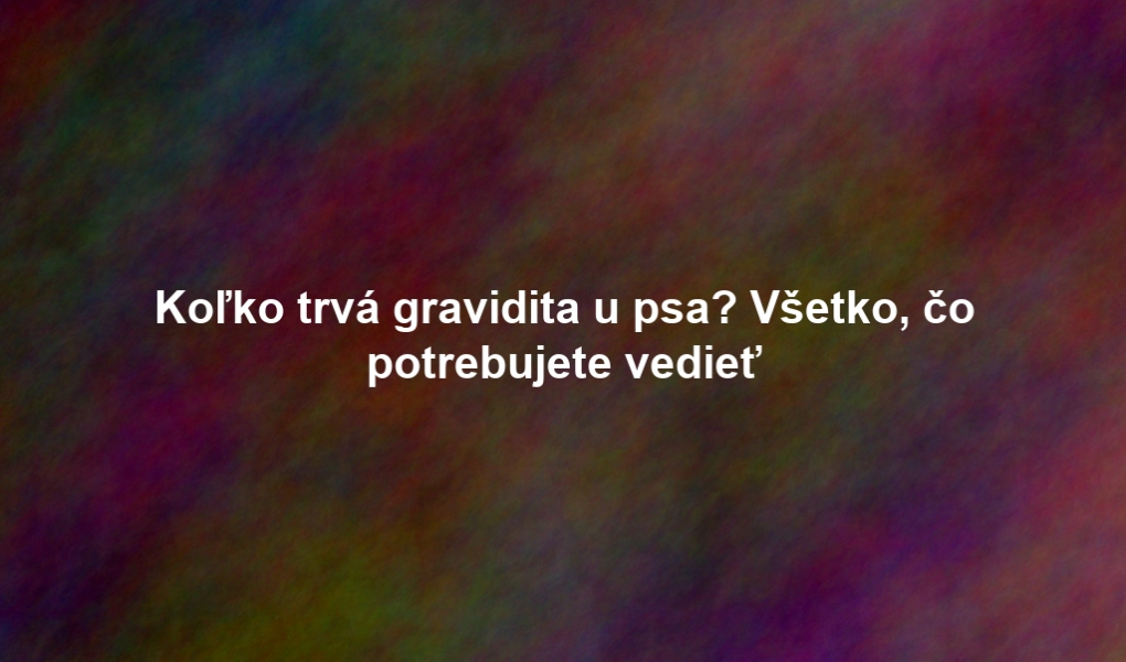 Koľko trvá gravidita u psa? Všetko, čo potrebujete vedieť