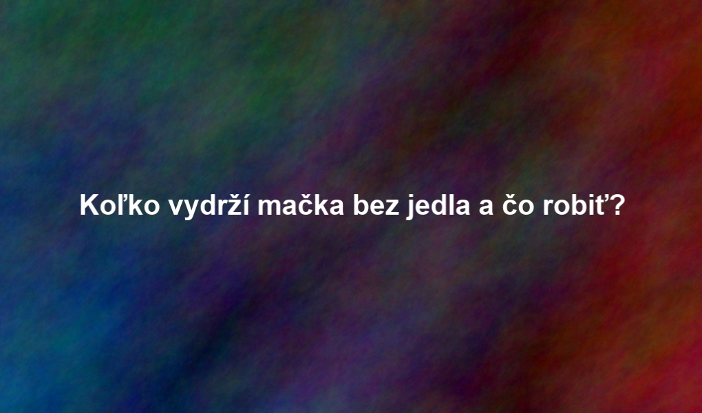 Koľko vydrží mačka bez jedla a čo robiť?