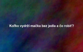 Koľko vydrží mačka bez jedla a čo robiť?