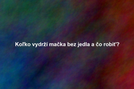 Koľko vydrží mačka bez jedla a čo robiť?